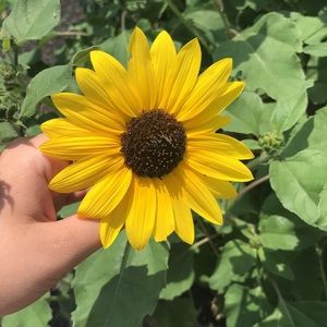 Meet your Posher, Kaylee